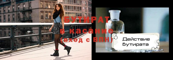 индика Нягань