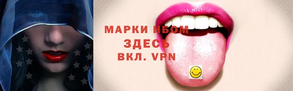 индика Нягань