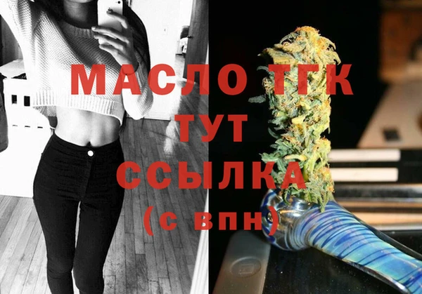 индика Нягань