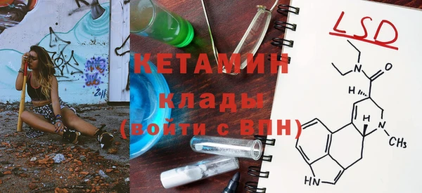индика Нягань