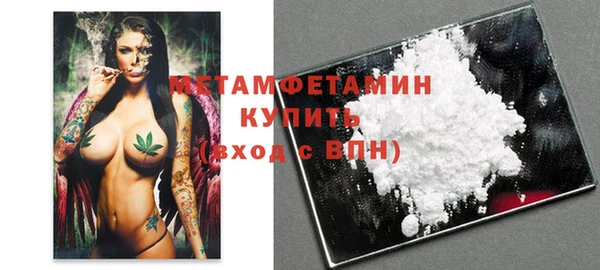 индика Нягань