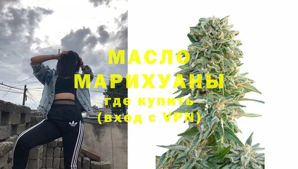 индика Нягань