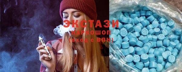 индика Нягань