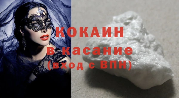 индика Нягань