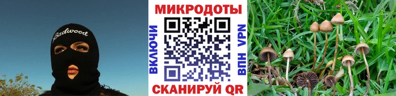 купить наркоту  Безенчук  Галлюциногенные грибы Psilocybine cubensis 